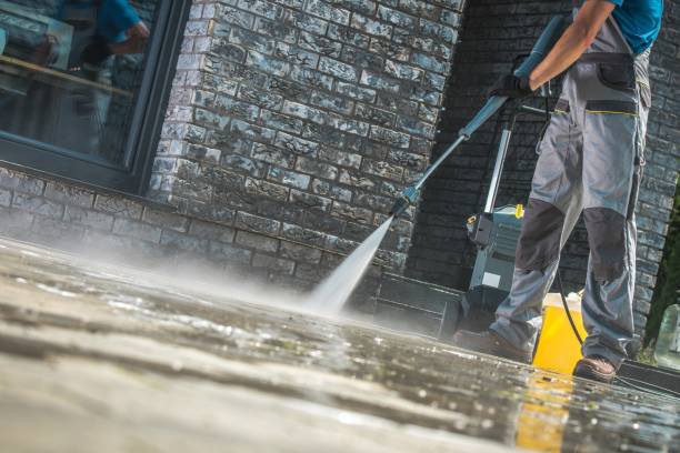 Best Animal Enclosure Cleaning  in Delray Beach, FL